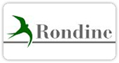 rondine